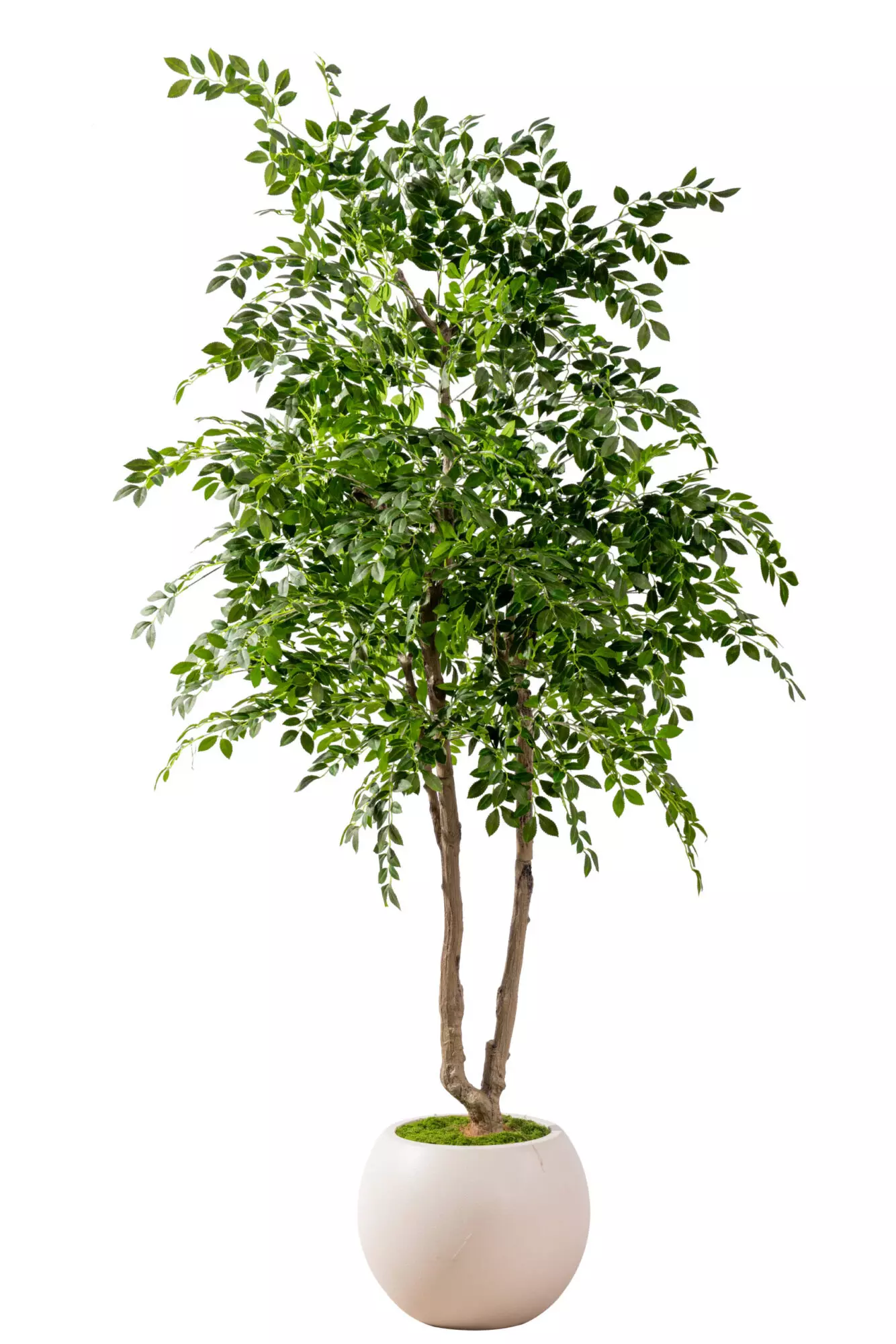 Artificial Elm seed tree 6.5 ft (1)