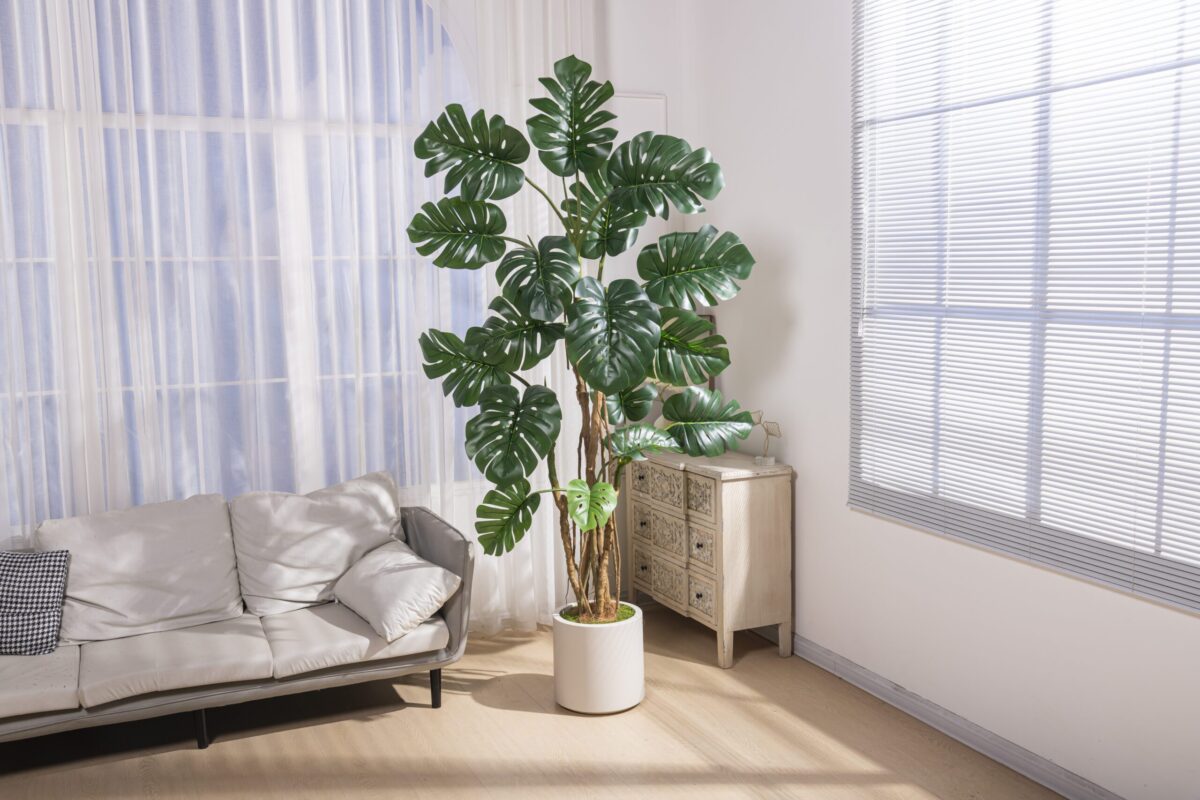 Artificial Turtleback Tree