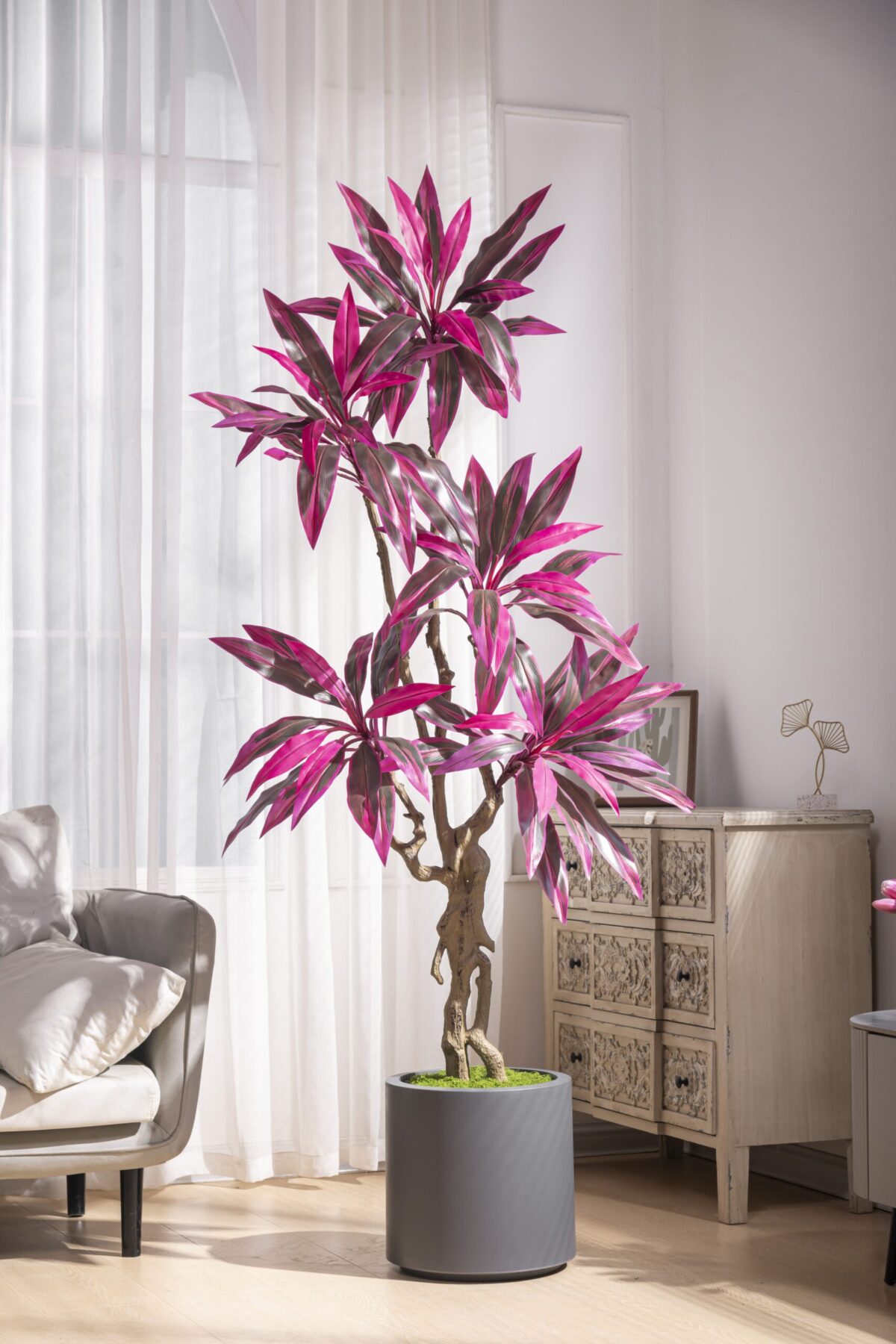 Faux Brazilian Ironwood Tree 5.9ft - Decorative Indoor Plan